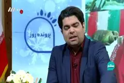 فیلم: علی‌رغم همه تاکیدات، باز هم جاده بهشت زهرا ترافیک سنگین دارد