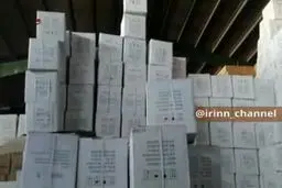 فیلم: سلطان دستکش دستگیر شد!