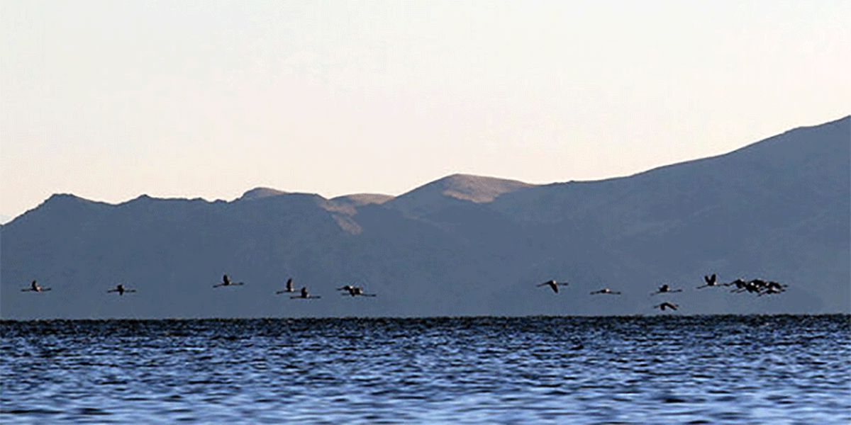 تراز دریاچه ارومیه ۶۰ سانتیمتر افزایش یافت