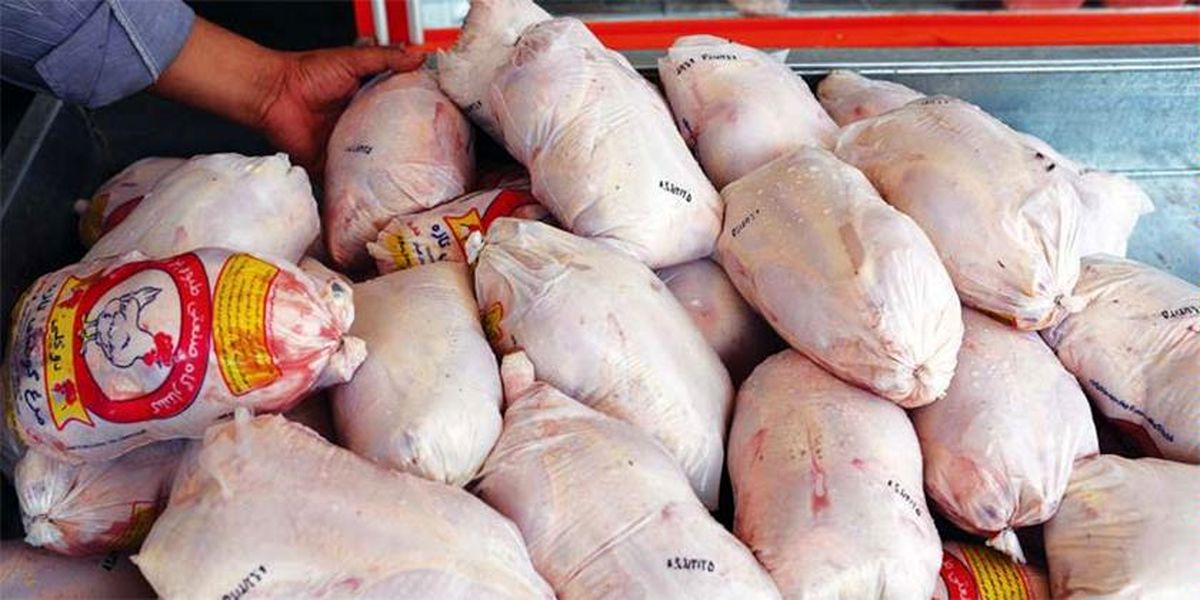 آغاز توزیع مرغ تنظیم بازاری ۱۲ هزار تومانی