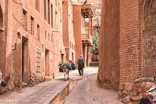 ورود گردشگران به «ابیانه» ممنوع است