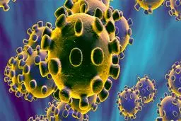 تعطیلی تمام مسابقات، تمرینات و باشگاه‌های ورزشی تا پایان سال