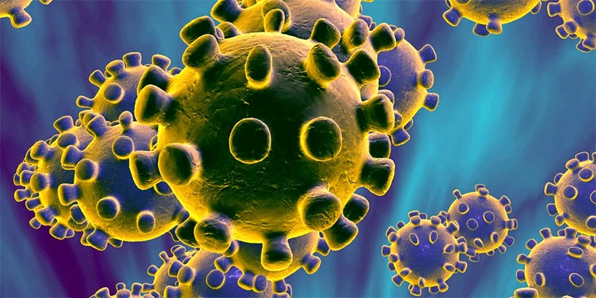 تعداد مبتلایان به کرونا در سرزمین‌های اشغالی به ۲۰ نفر رسید