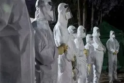 بهبود بیمار ۱۰۰ ساله مبتلا به کرونا