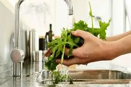 چند نکته برای شست‌وشوی میوه و سبزی در پی شیوع کرونا