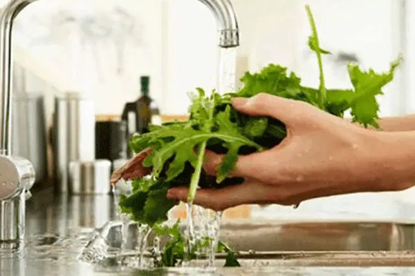 چند نکته برای شست‌وشوی میوه و سبزی در پی شیوع کرونا