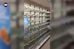 فیلم: مرغ همسایه غاز نیست