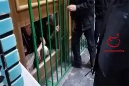 هتک حرمت حریم آستان مقدس حضرت معصومه(س)