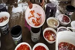 فروش ماهی قرمز نوروز ممنوع شود