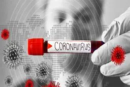 وزارت بهداشت به تنهایی توان ۲۵ درصد مقابله با کرونا را دارد