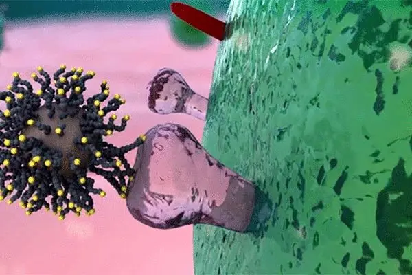 اقدامات اجباری دولت‌ها برای مهار کرونا