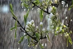 آغاز بارش برف بهاری در همدان