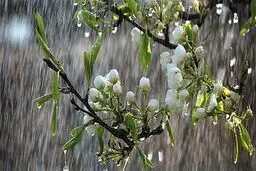 آغاز بارش برف بهاری در همدان
