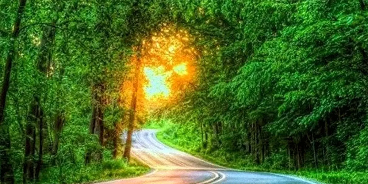 نفس راحت جنگل‌ها در ایام نوروز