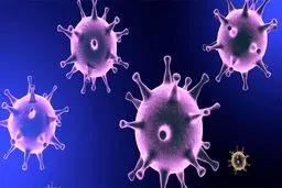 مصرف این نوع سیگار احتمال ابتلا به کرونا را افزایش می‌دهد