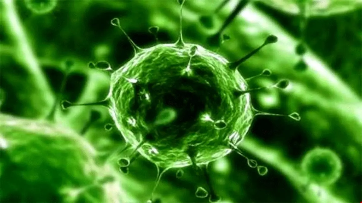 جلوگیری از ابتلای کادر پزشکی به کرونا با یک حلقه