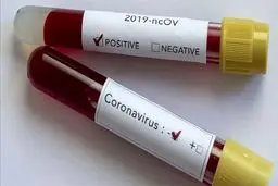 وجود دو نوع ویروس کرونا واقعیت ندارد