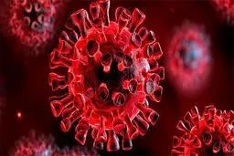 وضعیت کرونایی فارس قرمز شد