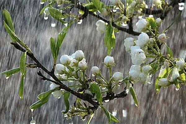 برف و باران در محورهای ١٠ استان کشور