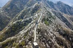 تصاویر: دیوار چین در بهار