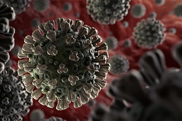 کرونا ۱۰ برابر بیش از آنفلوآنزای خوکی کشنده است