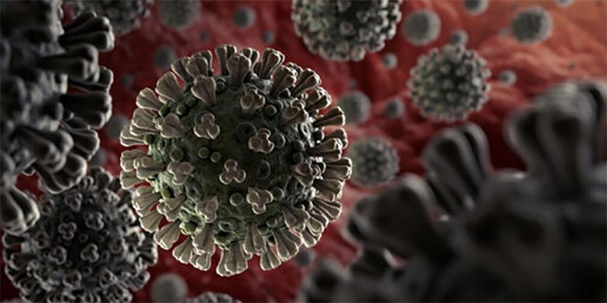 کرونا ۱۰ برابر بیش از آنفلوآنزای خوکی کشنده است