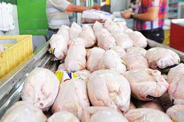 فروش مرغ تنظیم بازاری ویژه ماه مبارک رمضان آغاز شد