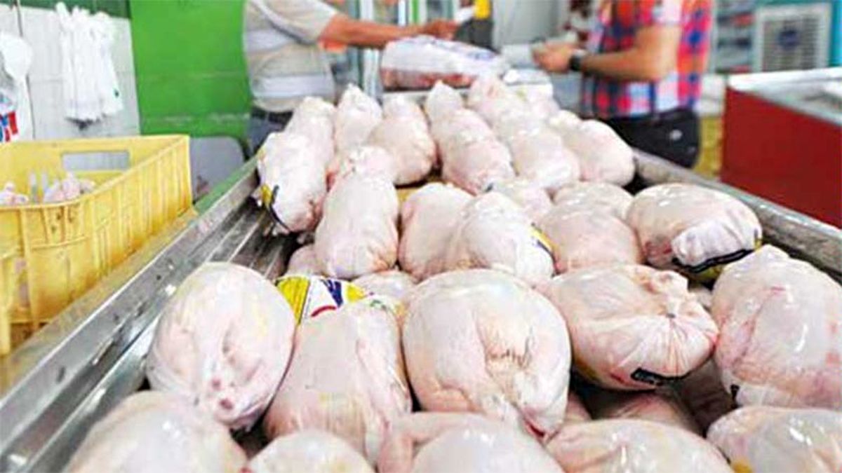 فروش مرغ تنظیم بازاری ویژه ماه مبارک رمضان آغاز شد