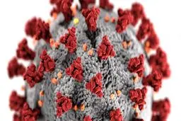 کرونا در دمای ۷۰ درجه پنج دقیقه زنده می ماند