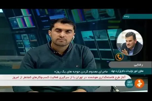 فیلم: ماجرای معدوم کردن جوجه‌های یک روزه چه بود؟