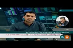 فیلم: ماجرای معدوم کردن جوجه‌های یک روزه چه بود؟