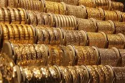 کشتی‌آرای:‌ بازار کاملاً باز نشده