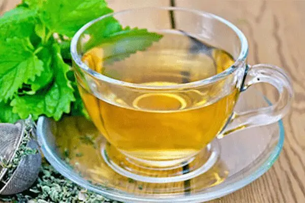 نوشیدنی‌های گیاهی ماه مبارک رمضان