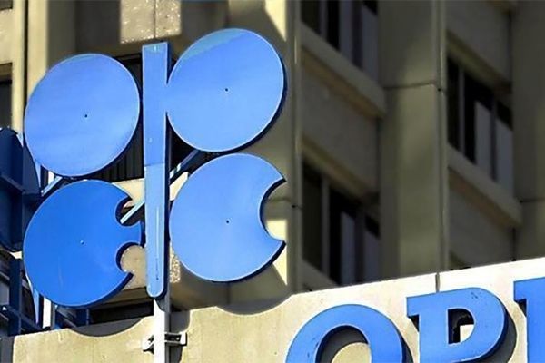 کاهش ۱۲ دلاری قیمت نفت اوپک