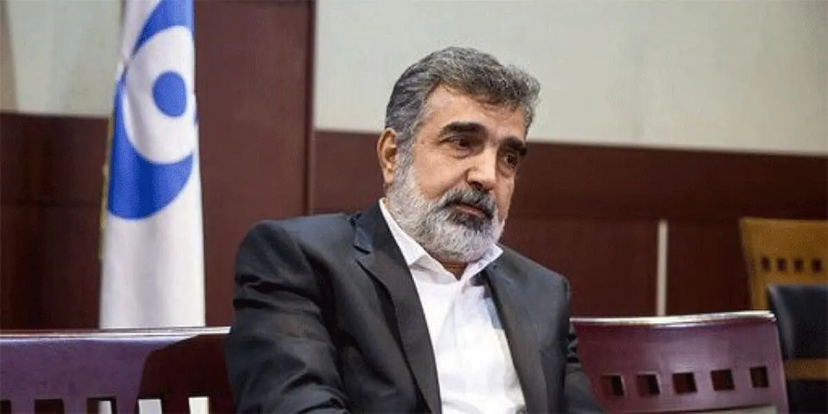 ۳۸ تن سوخت جدید برای نیروگاه اتمی بوشهر وارد کشور شد