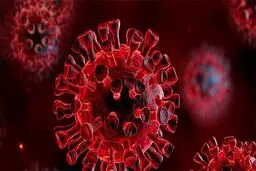 تعداد بیماران کرونا در اهواز به مرز هشدار رسید