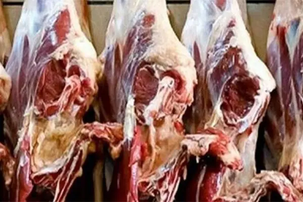 سقوط تولید داخلی گوشت قرمز به پایین‌ترین میزان ۳۰ سال اخیر