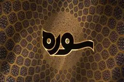 فردیدی‌ها امت واحده را تبدیل به ایدئولوژی کردند