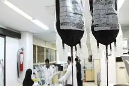 دو سوم بیماران تالاسمی کشور در این استان متولد می‌شوند