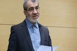 کنایه‌ی عضو حقوقدان شورای نگهبان به توقعات آنارشیستی