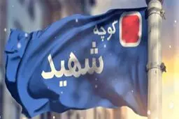 نامگذاری چند خیابان پایتخت به نام شهدای سلامت