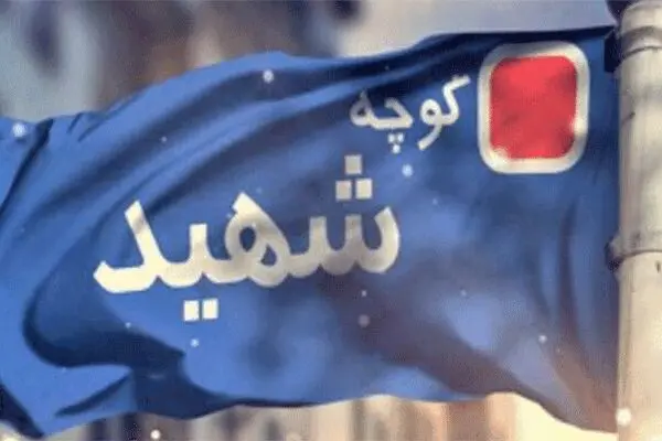 نامگذاری چند خیابان پایتخت به نام شهدای سلامت