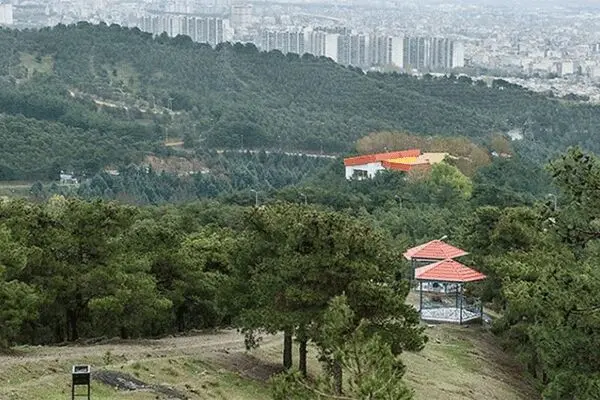 درهای بوستان‌های جنگلی فعلا باز است