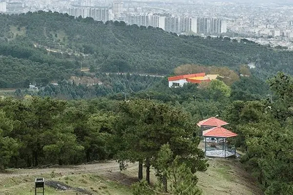 درهای بوستان‌های جنگلی فعلا باز است