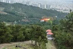 درهای بوستان‌های جنگلی فعلا باز است