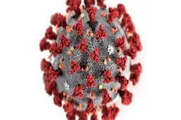 آنتی‌بادی کرونا وارد بازار سیاه شد