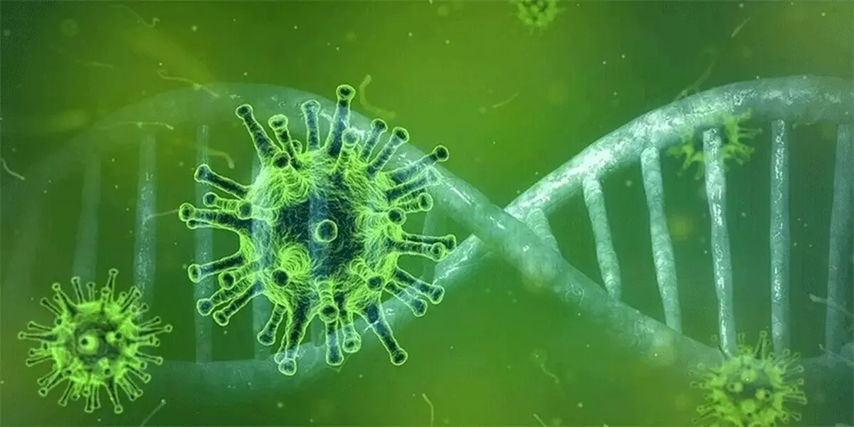 احتمال ابتلای مجدد بهبودیافتگان کرونا در این دوره وجود ندارد
