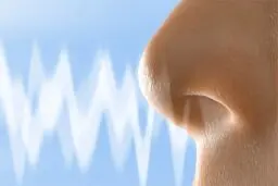 حس بویایی بیماران کرونایی چگونه باز می گردد؟