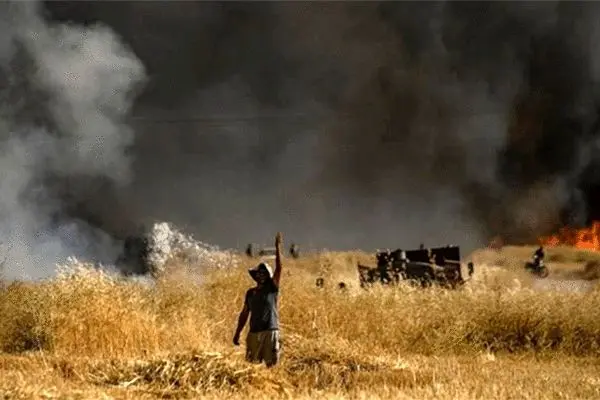 اقدامات تروریستی در مزارع کشاورزی شمال سوریه