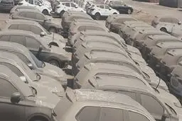 ترخیص تنها ۱۳۷۹ خودرو از گمرک